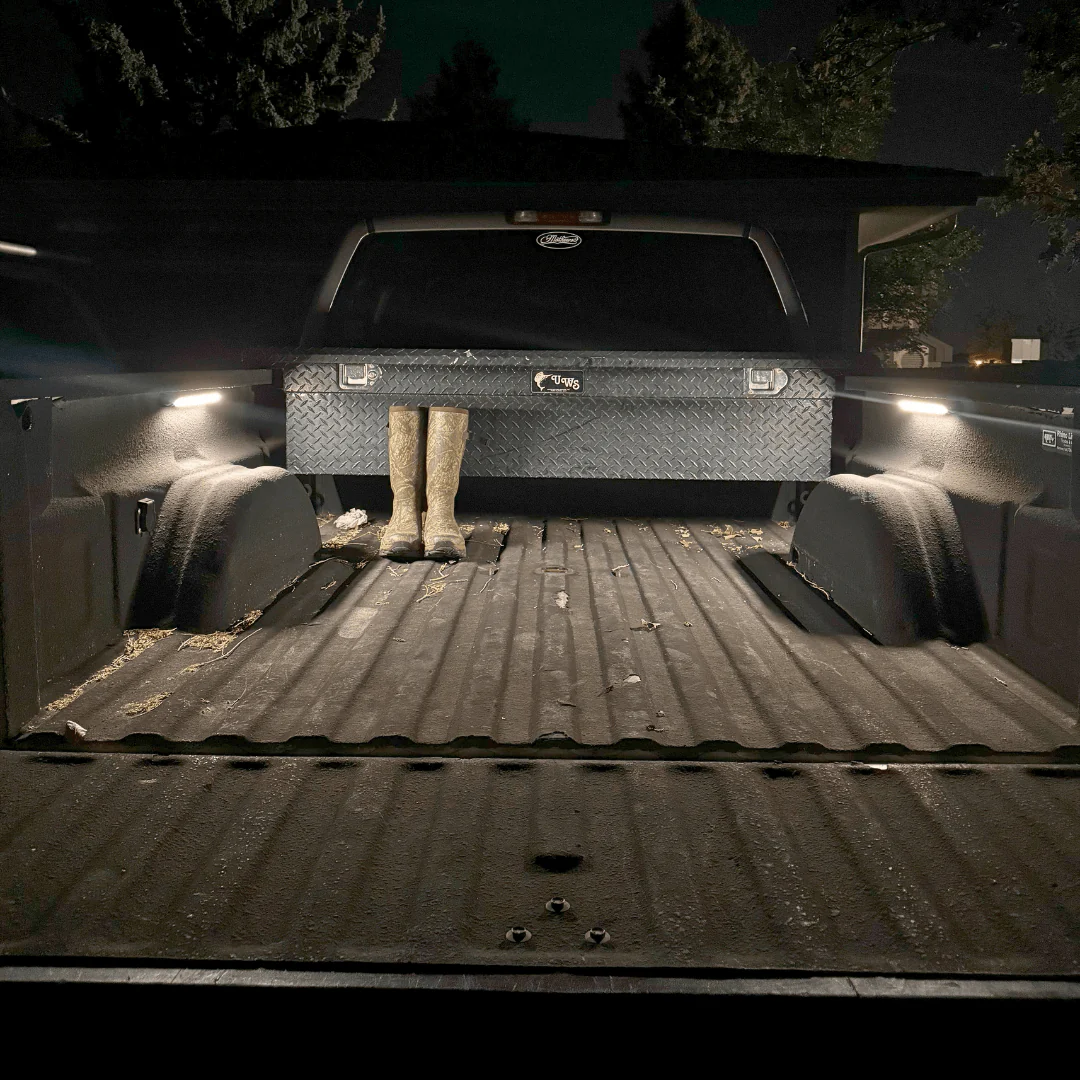 V-Series 12" Light - Image 3