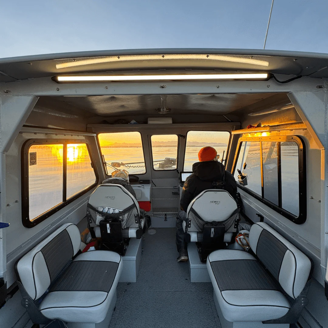 V-Series 40" Light - Image 19